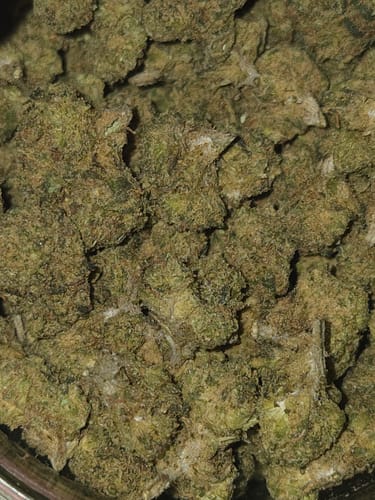 Customer photo review of PAPAYA POWER THC Flower Hybrid Exotic Smalls THCa 14g 28g 114g 1/4 lb QP