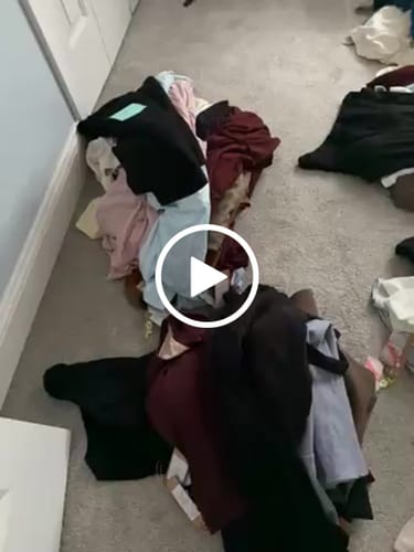 Customer video review of DRAFT: OGL NWT/NWOT