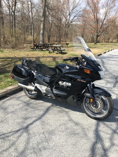 Reviewer's black Wind Rider Seat Cover shown on a motorcycle parked in a wooded area.
