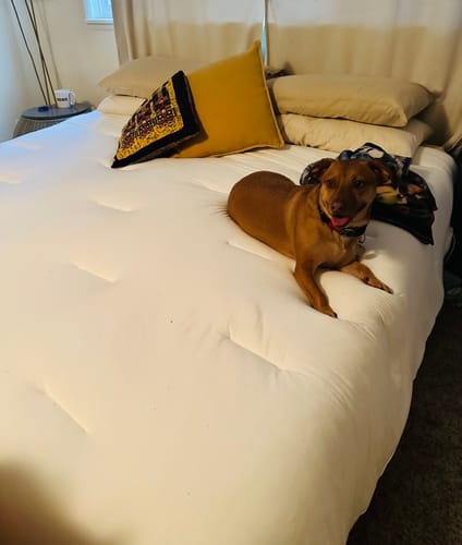 Customer photo review of MarshMellow Comforter