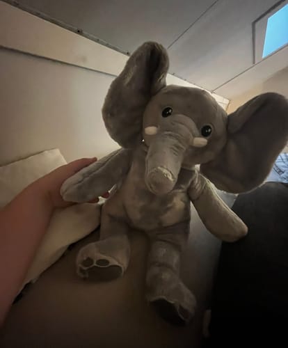 Recensent toont de zachte grijze verzwaringsknuffel olifant die op een bank zit.