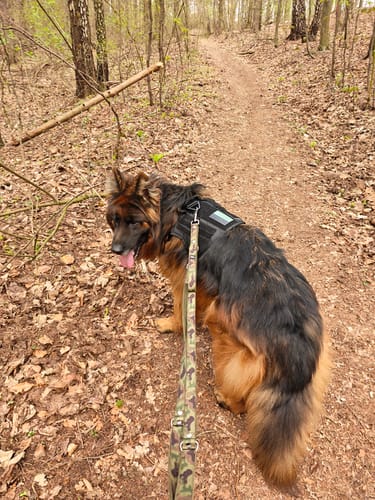 Customer photo review of Smycz przepinana z dodatkową raczką - Multi Guard Leash Camo Green