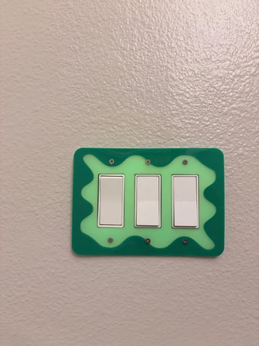 Customer photo review of Rocky Light Switch Cover