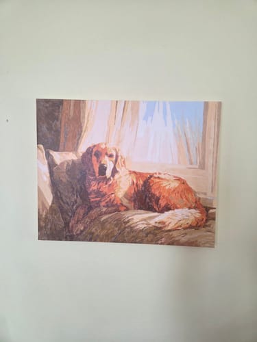 Customer photo review of Resting Retriever