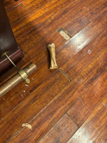 Customer's Smoked Beef Marrow Bone, chewed clean of its marrow, resting on a dark wood floor.