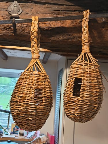 Customer photo review of The Bird Box - Course and Kit