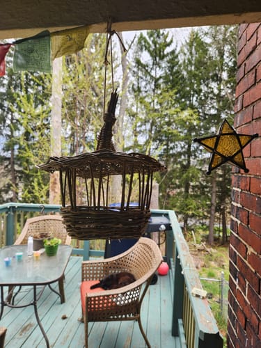 Customer photo review of The Willow Bird Feeder Course and Kit