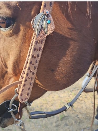 Customer photo review of Cassie Buckstitch Headstall