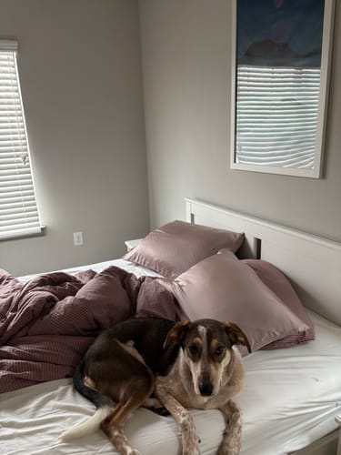 Customer photo review of Purple Striped Duvet Cover