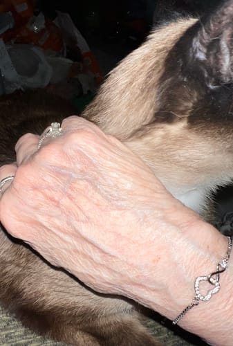 A customer's wrist wearing the Forever Love Bracelet, showing the intertwined heart and infinity symbol.