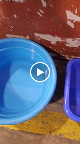 Customer video review of Pack Doble Acción. BNZ-21 Limpia y Previene con Anticristalizante AdBlue® BNZ-21