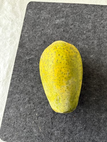 Kunde zeigt eine noch nicht ganz reife Bio-Papaya mit gelb-grüner Schale.
