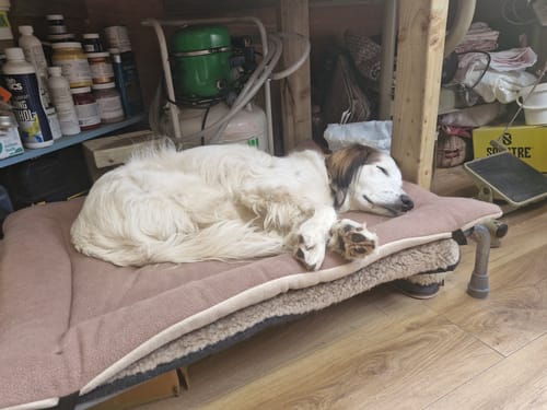 Customer photo review of Beige & Mushroom Reversible Pad