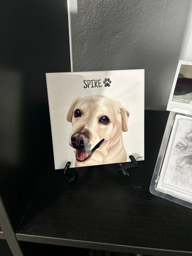 Customer photo review of Azulejo Retrato Colorido Personalizado