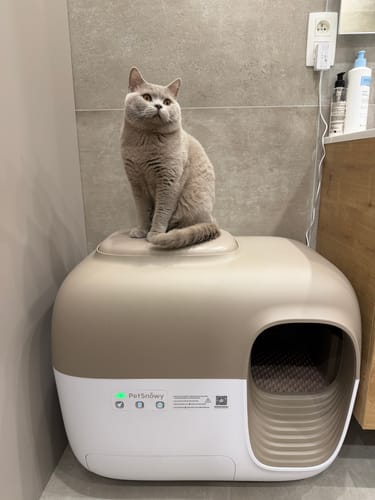 Customer photo review of Self-Cleaning Litter Box