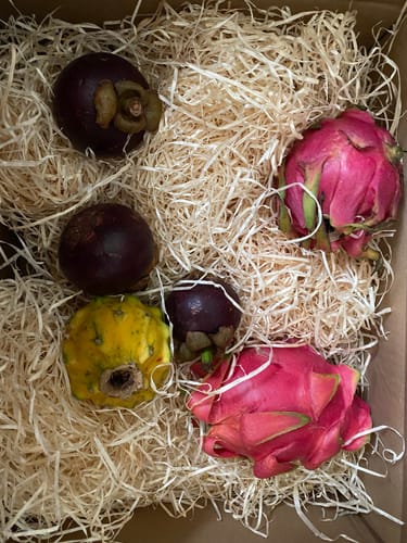 Kundenfoto von frischen Drachenfrüchten aus der Trio Box, gelb und rot, die in Holzwolle in einer Kiste liegen.