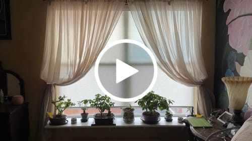 Customer video review of SmartWings Motorized Light Filtering Roller Shades 50% Blackout PVC Free Sunscreen