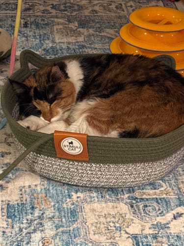 Customer photo review of Instinct Basket | Meet the first research-backed natural territory for indoor cats