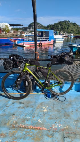 Customer photo review of Gear Belly