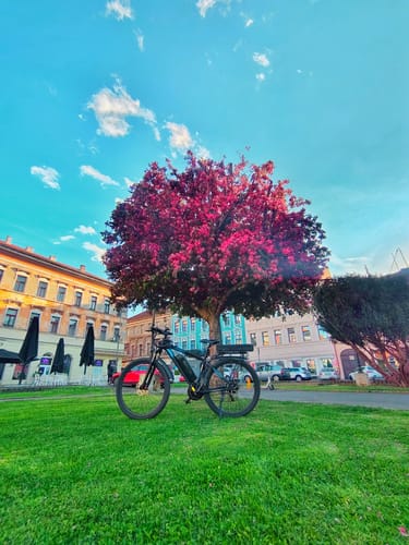Customer photo review of DUOTTS C29-K Electric Bike