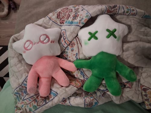 Customer photo review of Adopt a Star Baby Plush Blind Box