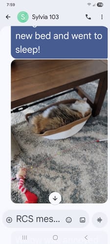 Customer photo review of Instinct Basket | Meet the first research-backed natural territory for indoor cats