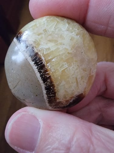 Customer holding a round, two-toned Septarian Palm Stone from their VIP Crystal Club subscription.