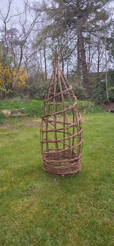 Customer photo review of The Willow Plant Support - Online Course and Kit