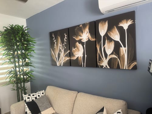 El cliente muestra el set de cuadros "Flowers in Dark" colgado en una pared azul sobre un sofá de color claro.