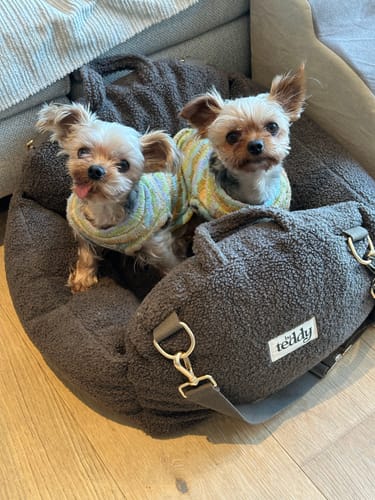 Customer photo review of Chocolate | The Cosy Car Seat