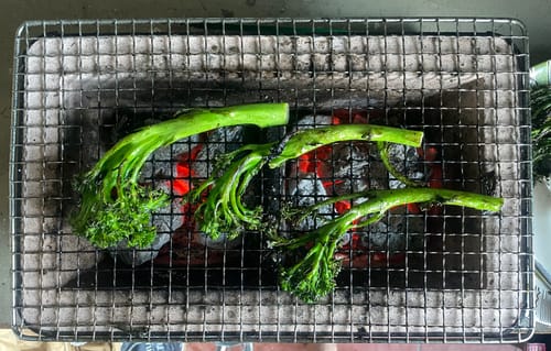 Customer photo review of 100% Mallee Root Charcoal