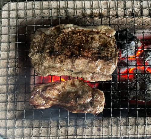 Customer photo review of 100% Mallee Root Charcoal