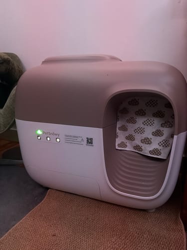 Customer photo review of Self-Cleaning Litter Box