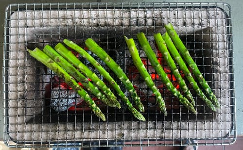Customer photo review of 100% Mallee Root Charcoal