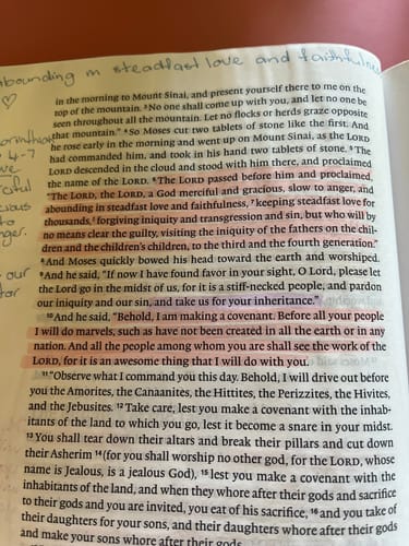 Customer photo review of Zero-Bleed Highlighters Pack-6