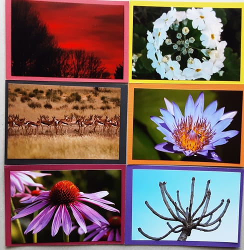 Customer photo review of 25 x Jumbo 4x6" (101x152mm) Bulk Pack