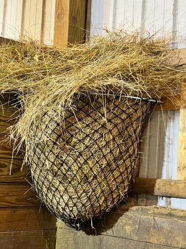 Customer photo review of Hay Chix® Hay Rack