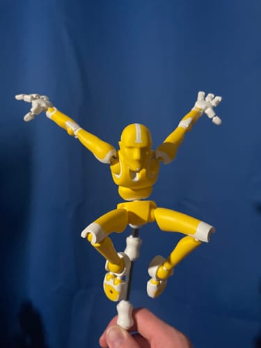 Customer photo review of LIGHT RAY Stickybones | Spring Studio Mega-Sale