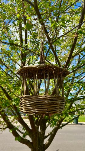 Customer photo review of The Willow Bird Feeder Course and Kit