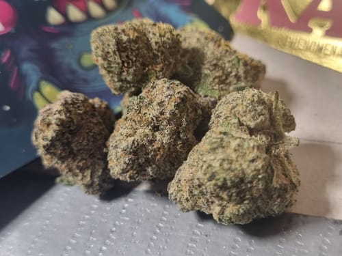 Reviewer's close-up of several dense, frosty Miracle Alien Cookies THCA Flower buds on a surface.