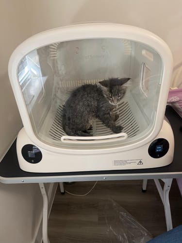 Customer photo review of Pet Dryer Box