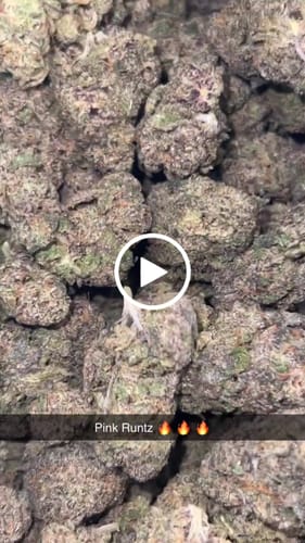 Customer video review of Pink Runtz Exotic THCA