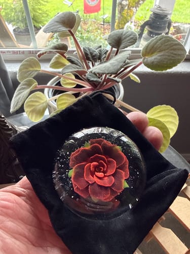 Customer holding their Rose Touchstone with a red rose and infused ashes inside, resting on a black pouch.