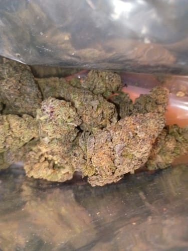 Customer photo review of Pink Runtz Exotic THCA