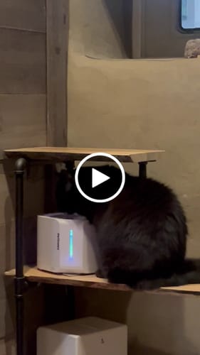 Customer video review of Pet Water Fountain Filter (3Pcs)