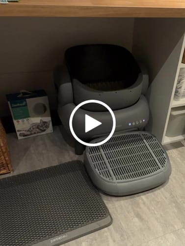 Customer video review of Neakasa M1 Plus Selbstreinigende Katzentoilette mit offenem Design
