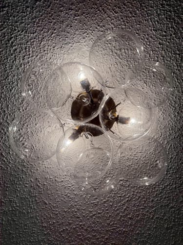 Customer photo review of 3-Light Brass Cluster Clear Glass Globe Bubble Ceiling Light