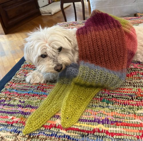 Customer photo review of KISS ME MOHAIR
