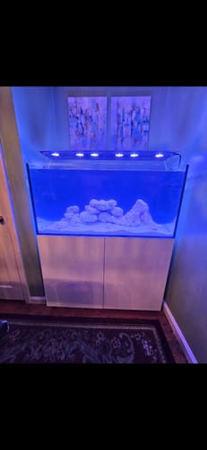 Customer photo review of Fiji Cube 108 Gallon Rimless EXT Glass Aquarium Tank Package