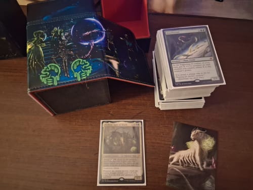 Customer photo review of Custom Deck Box
